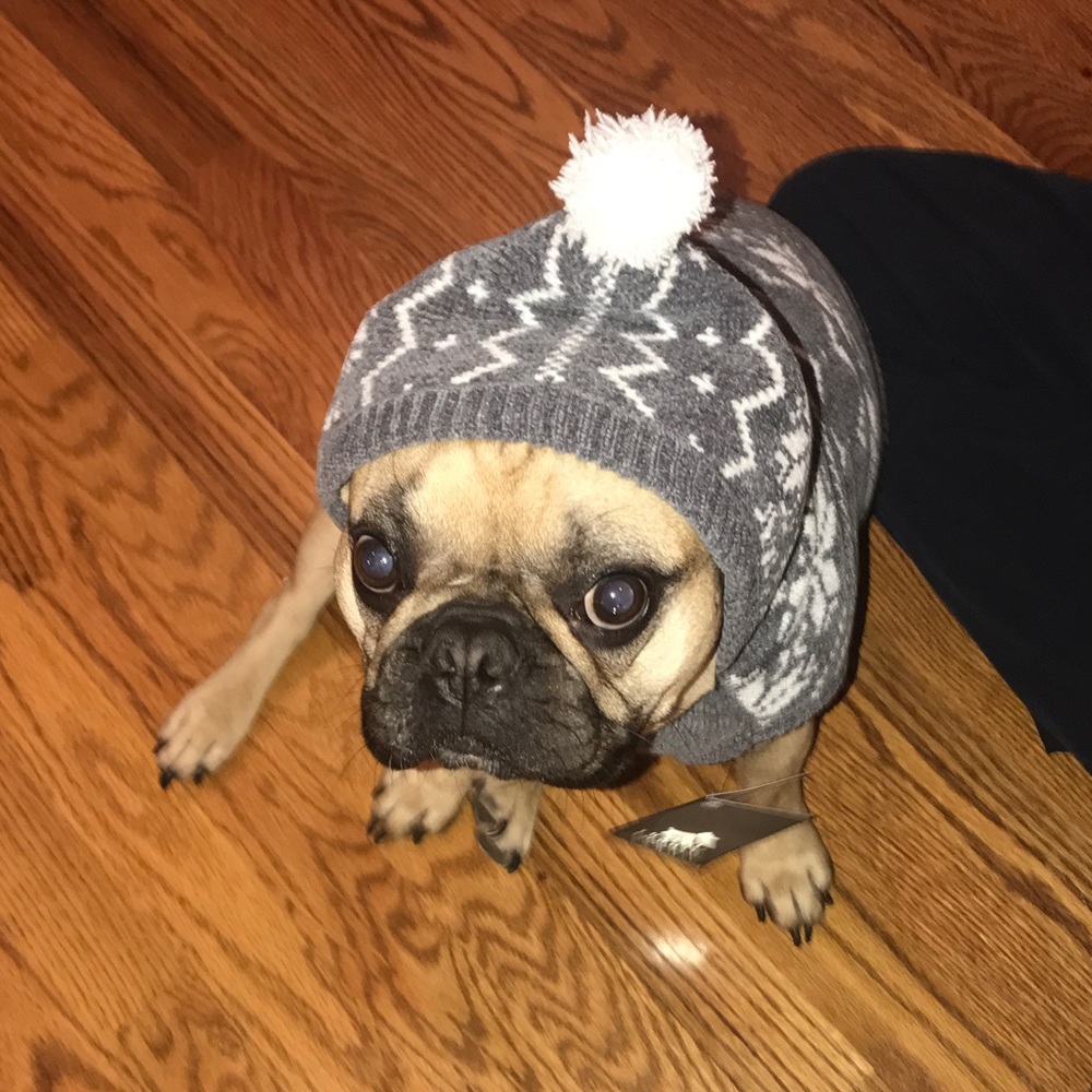 Meet your Posher, Jess